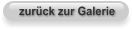 zurück zur Galerie
