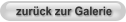 zurück zur Galerie