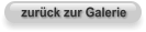 zurück zur Galerie